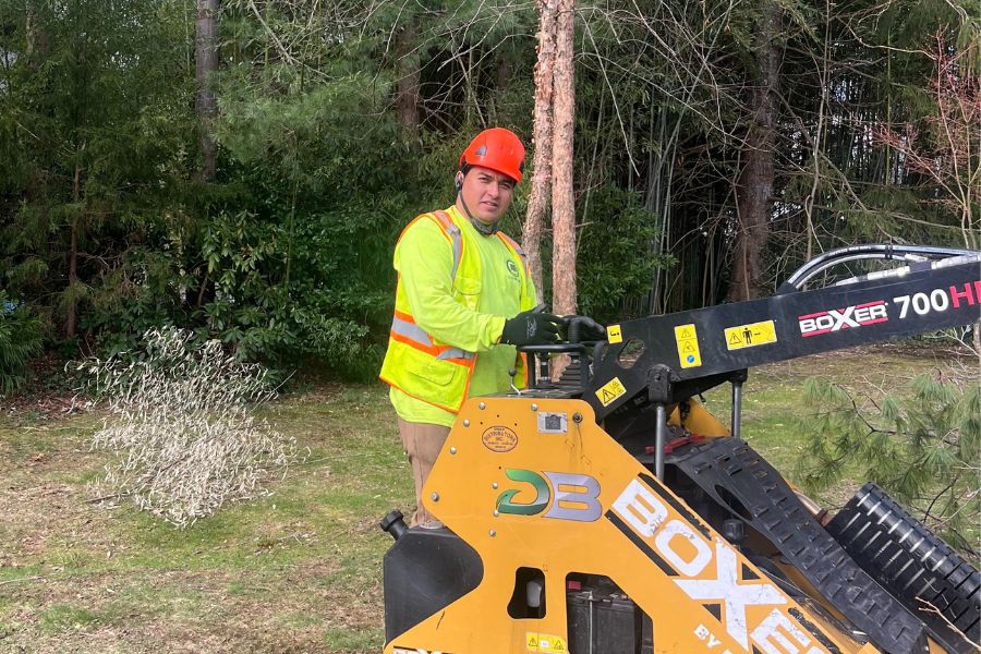 Dragonetti heavy equipment tree removal