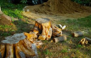stump grinding new york