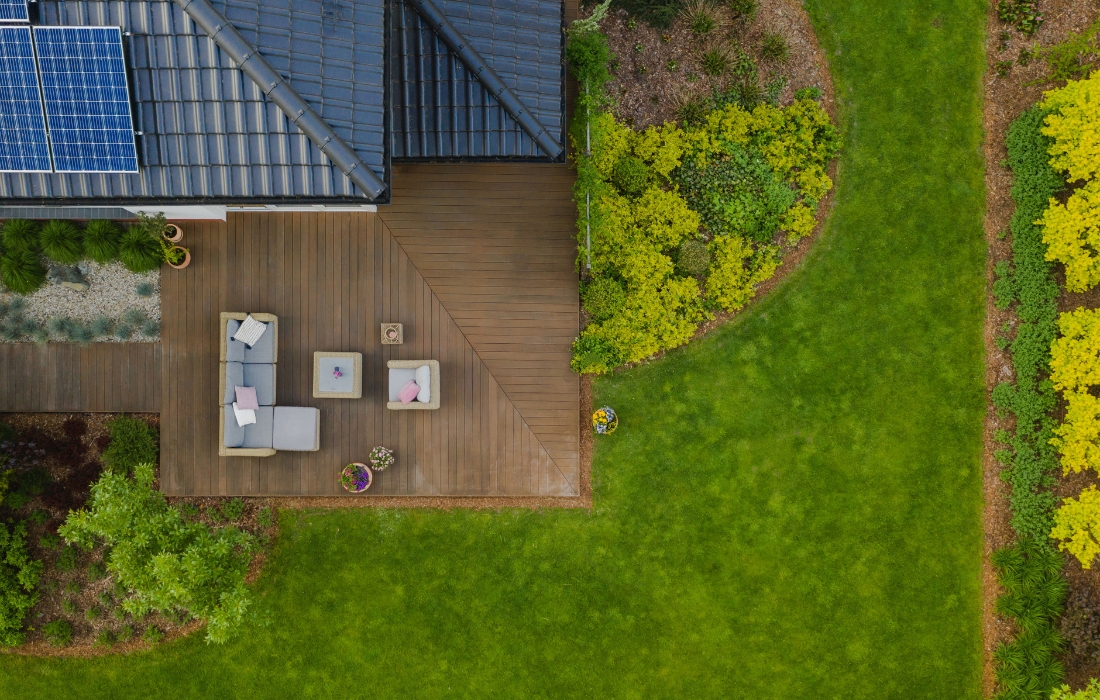 grass growing in backyard because of tree removal