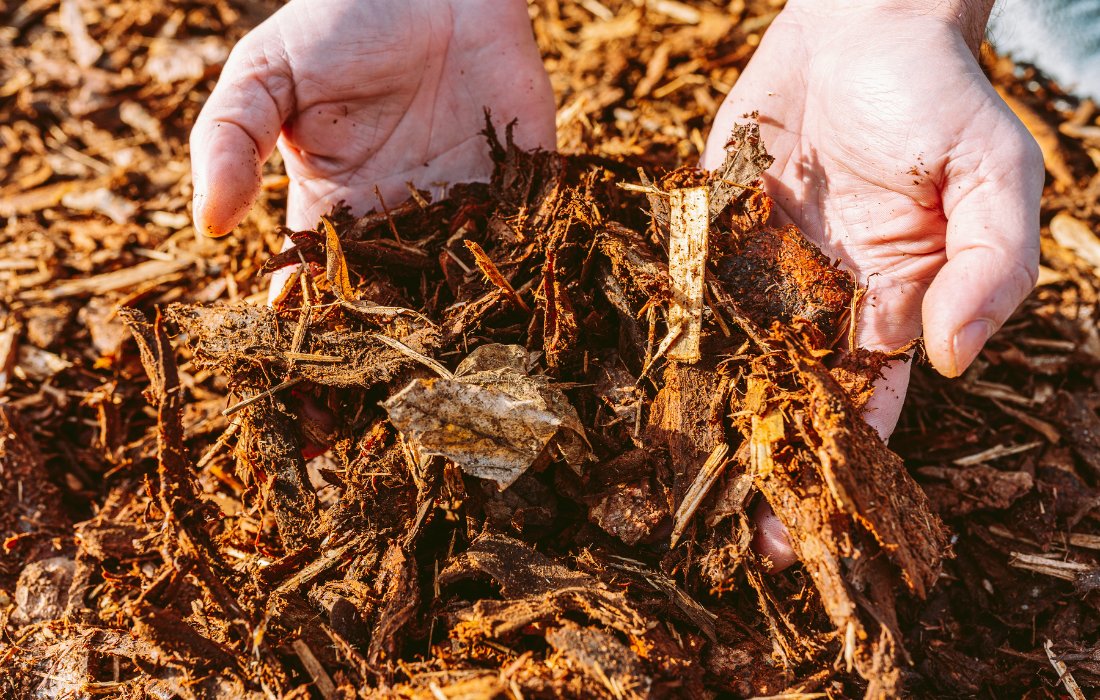 how to make leaf mulch