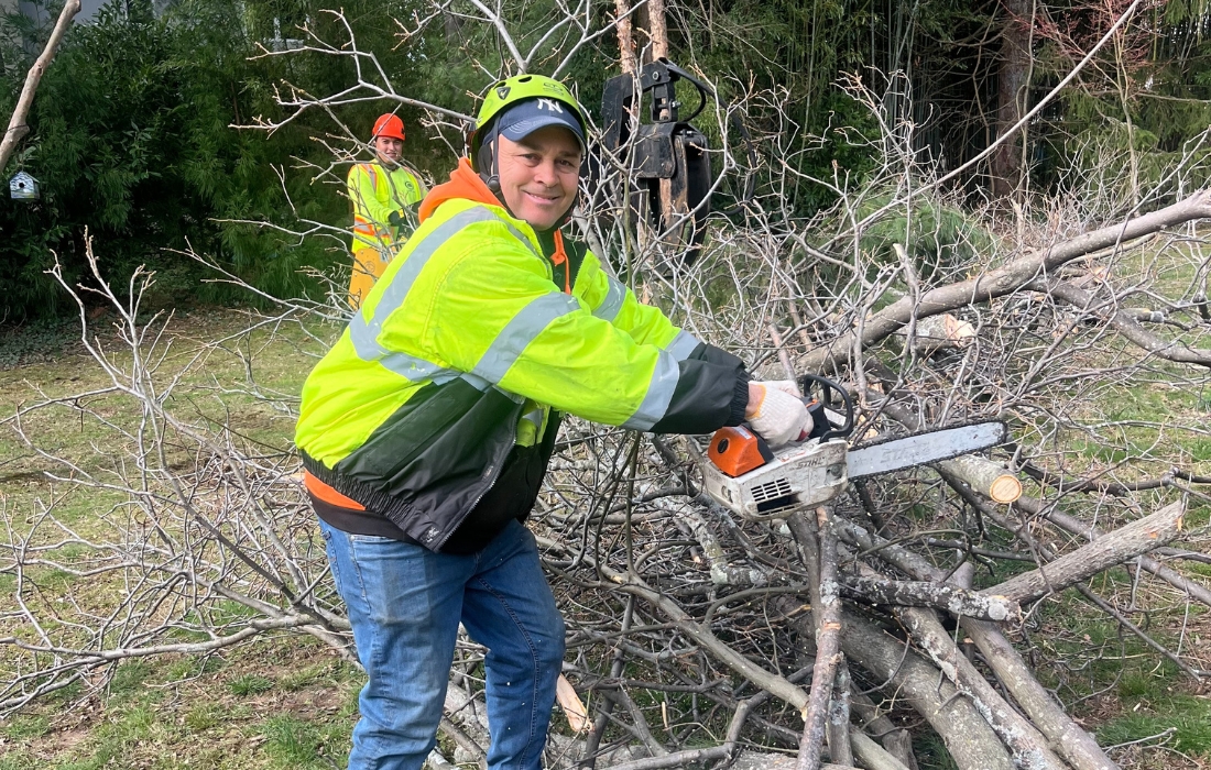 professional arborist in New York after pruning a tree