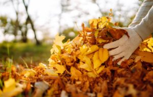 what to do with fallen leaves