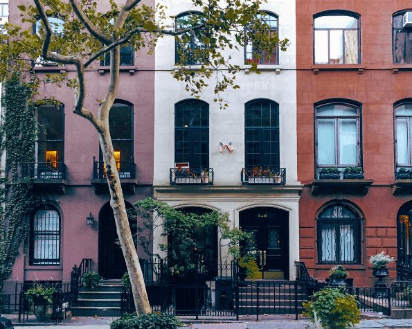 how close can a tree be to my condo nyc