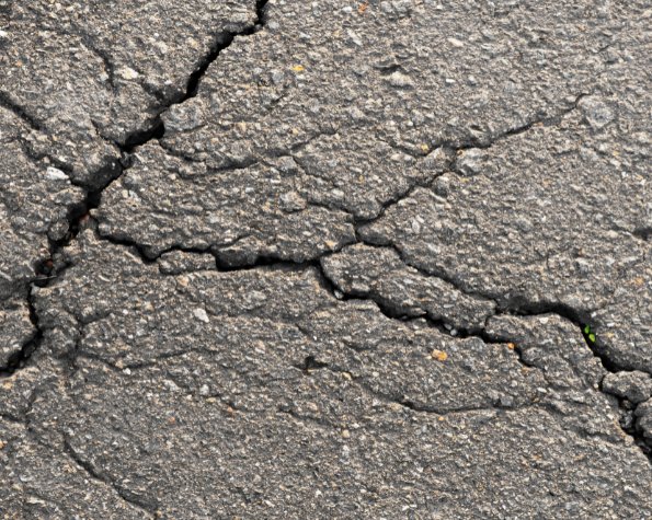 cracked pavement from roots