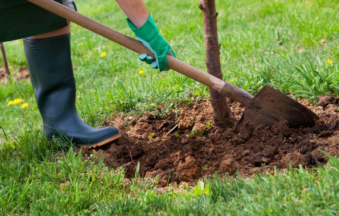 tree mulching dos tree mulching dos