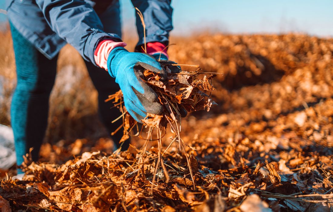winter mulching dos winter mulching dos