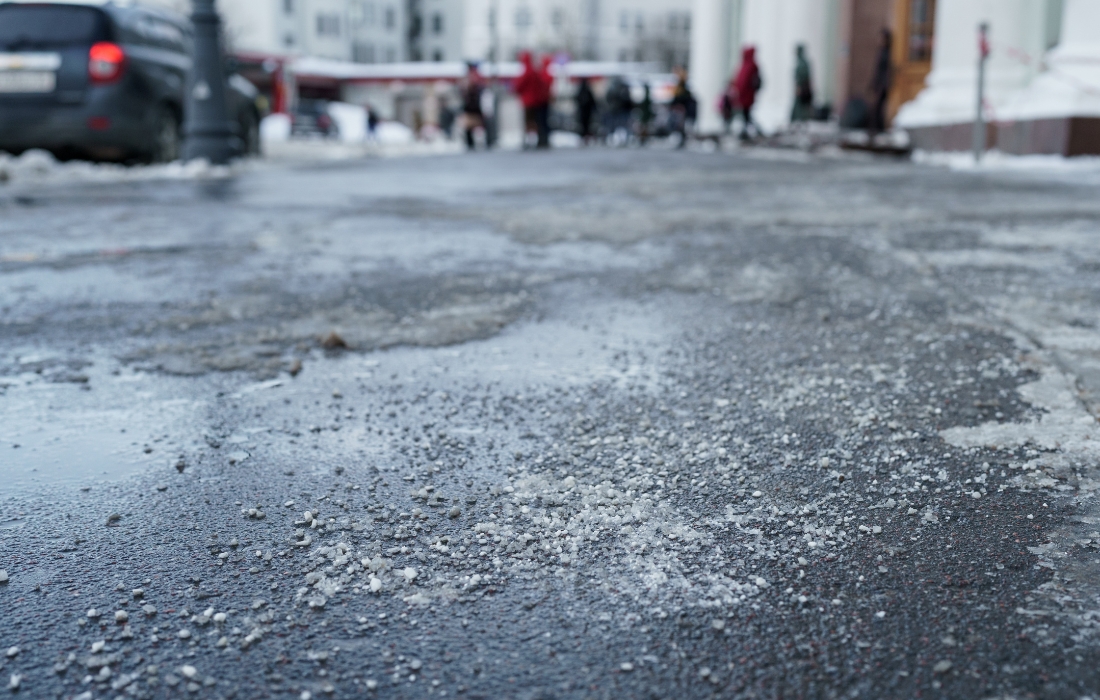 preventing salt tree damage preventing salt tree damage