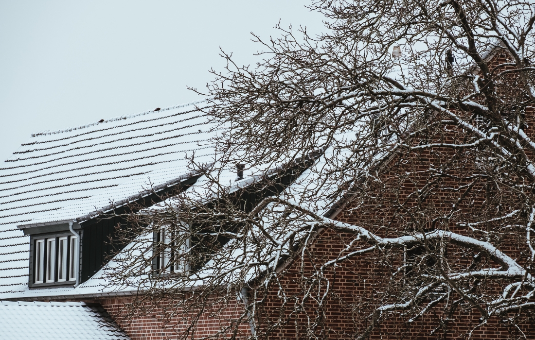 how to stop wind tree damage